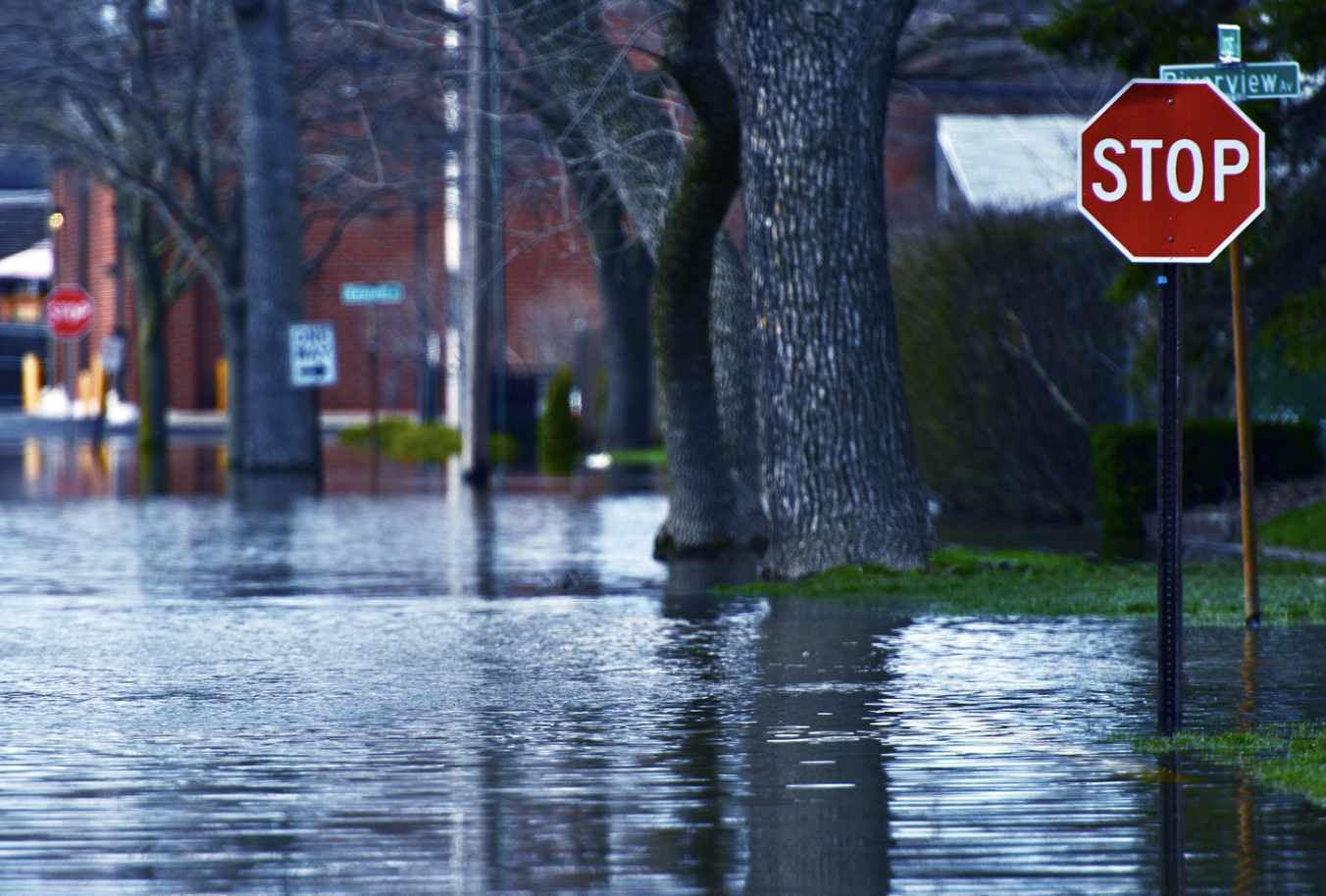 Rising Death Toll and ‘Dramatic’ Flooding in Central Europe: A Tale of Tragedy and Resilience